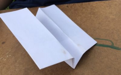 The Duck: An Acrobatic, Glider Paper Airplane
